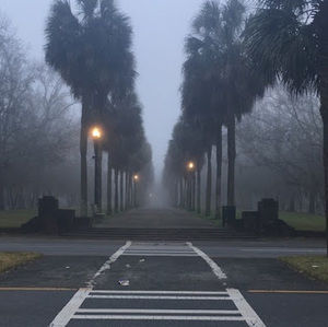 Meet your Posher, Ginger